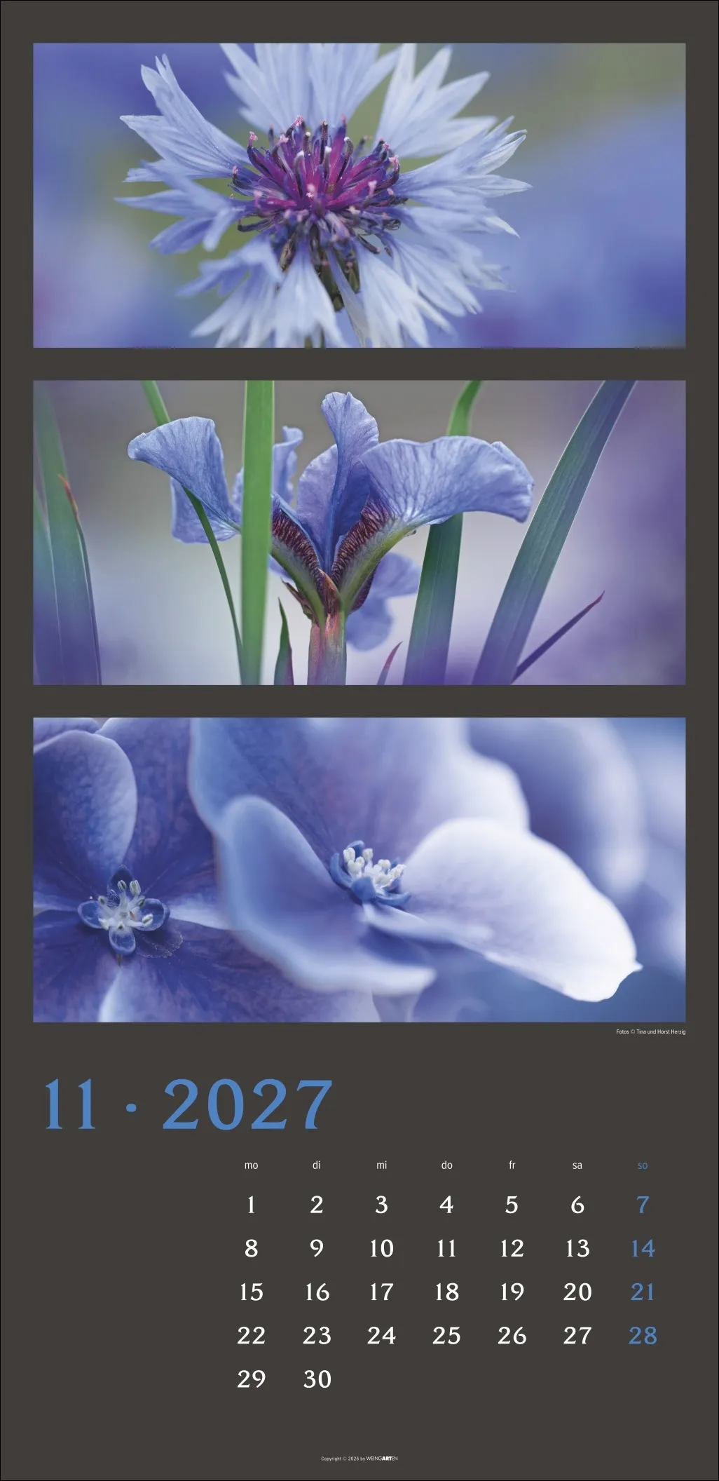 Die Farben der Natur Wandkalender 2027 – Bild 12